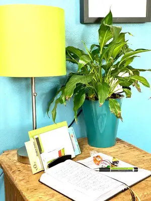 a desk with a laptop and a lamp and a plant at Remington Flats in Fort Collins