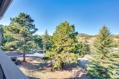 a view of trees from the balcony of a house at Walk to Downtown Mountain-View Estes Escape in Estes Park