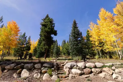 a rock garden in the middle of a forest at Peakside Escape 178 home in Silverthorne