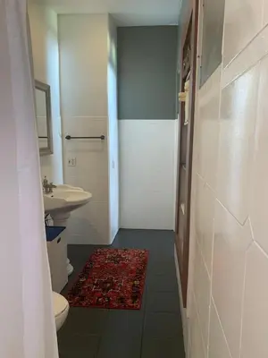 a bathroom with a sink and a toilet and a rug at Eco-Friendly Sunnyside 3 Bedroom Bungalow in Denver