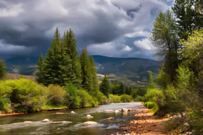 a river with trees on the side of it at Skywalk Flats Escape in Silverthorne