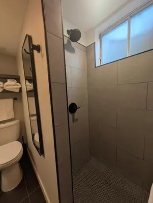 a bathroom with a shower with a toilet and a window at Cliff's Edge Brewing BBnB in Denver