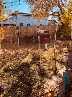 Gallery image of Surfers ranch in Denver