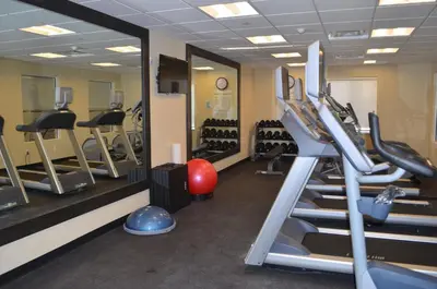 a gym with tread machines and a mirror at Holiday Inn Express & Suites Golden by IHG in Golden