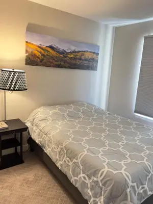 a bedroom with a bed and a painting on the wall at Modern Haven Scenic Nature Views Near Chatfield Park in Littleton