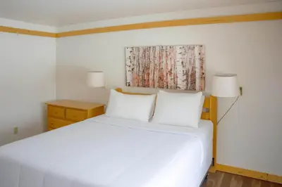 a bedroom with a white bed with two white pillows at Silverthorne Cabin with Hot Tub and Forest Access in Silverthorne