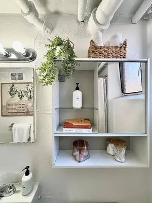 a bathroom with a shelf with plants and a sink at 1920s Inspired Stay-coffee Bar- Cozy-local in Denver