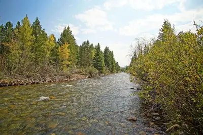 a river with trees on the side of it at Hot Tub, Blue River in Backyard, Close to 5 Ski Resorts, On Free Bus Route, New Listing in Silverthorne
