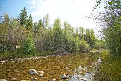 a river with rocks and trees in the background at Hot Tub, Blue River in Backyard, Close to 5 Ski Resorts, On Free Bus Route, New Listing in Silverthorne