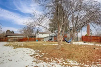 a yard with a tree and a swing at 12 Mi to Dtwn Denver Home with Fenced Backyard! in Northglenn