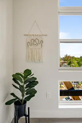 a plant in a black chair next to a window at 2880 Canvas & Comfort at Espadin in Denver