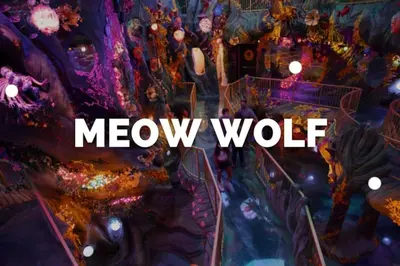 a screenshot of a meow wolf game at Near Downtown Denver A Huge Home With Two Kitchens in Denver