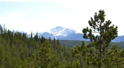 a snow covered mountain in the distance with a tree at Luxury condo with stunning views! in Fraser