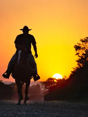 a man is riding a horse at sunset at Charming Cowboy Bunkhouse in Denver in Denver