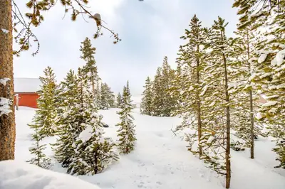 a forest of trees covered in snow with a red building at 6 Mi to Winter Park Resort Spacious Family Cabin in Fraser