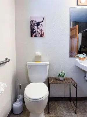 a bathroom with a toilet and a picture of a bull at Kinnikinnick Retreat Steps from the Lake and Board walk, 5 min drive to RMNP. in Grand Lake