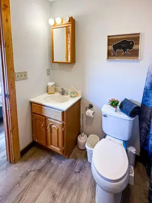 a bathroom with a toilet and a sink and a mirror at Columbine Charming Cabin, 1 block from the lake, in town, 5 min to RMNP in Grand Lake