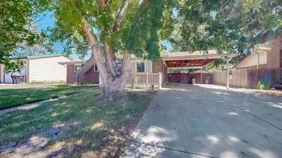 a house with a tree in front of a driveway at Cozy Lower Affordable Apartment great for families in Arvada