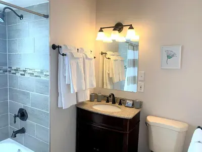 a bathroom with a sink and a shower and a mirror at Family Friendly & Cozy Two Bedroom Denver in Denver