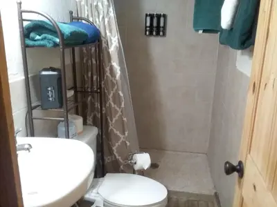 a bathroom with a shower with a toilet and a sink at Colorado Cabin Adventure in Grand Lake