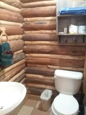 a bathroom with a wooden wall with a toilet at Colorado Cabin Adventure in Grand Lake