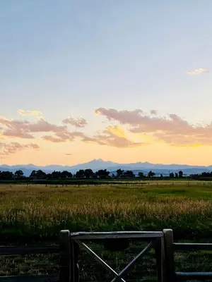 a bench in a field with the sunset in the background at Colorado Getaways in this Lovely Safari Tent on Working Sheep Farm in Longmont in Longmont