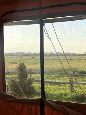 a view of a field from a window at Colorado Getaways in this Lovely Safari Tent on Working Sheep Farm in Longmont in Longmont