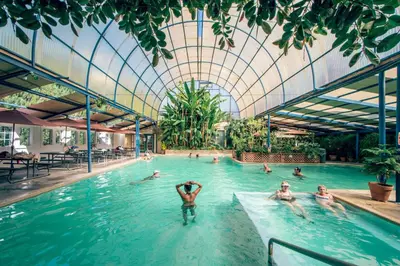 a group of people swimming in a swimming pool at Historic 4 bedroom Victorian Home in Downtown Georgetown in Georgetown
