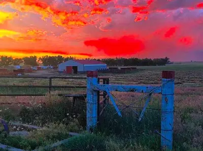 a sunset over a field with a fence and a barn at Cozy and Authentic Tipi Rental on Working Horse Ranch near Denver, Colorado in Hudson