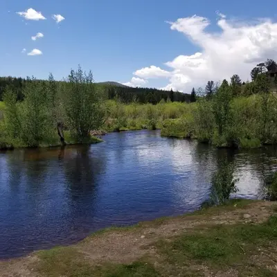 a river with trees on the side of it at Cabin in the Woods in Red Feather Lakes