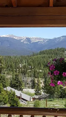 a view of a mountain from a window with flowers at Bluejay bunkhouse in Grand Lake