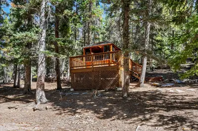 a tree house in the middle of a forest at Nestled Inn Vacation Home Rental Evergreen - Trails, Views, Hot Tub, Skiing! in Evergreen
