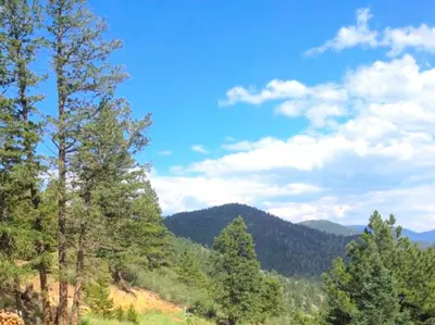 a group of trees on a hill with mountains at Spacious Cabin Rental with a Hot Tub for a Weekend Getaway near Denver, Colorado in Idaho Springs