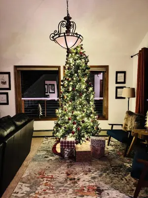 a christmas tree in a living room with a couch at Evergreen Forest Retreat in Evergreen