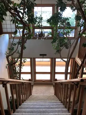 a staircase in a building with trees and windows at Unique Home 40 acres Peaceful Near Boulder 2 Dogs OK in Longmont