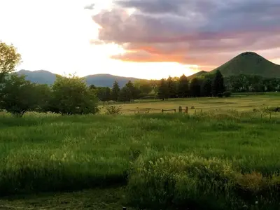a field of grass with a fence and a mountain at A Peaceful Slice of Heaven Near Boulder in Niwot