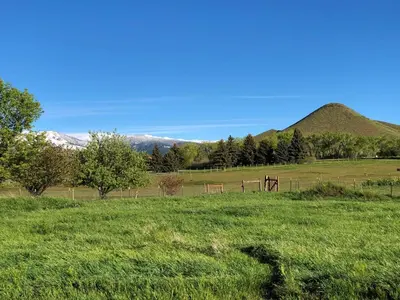 a field of green grass with a mountain in the background at A Peaceful Slice of Heaven Near Boulder in Niwot
