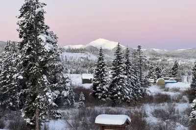 a snow covered field with trees and a mountain at Modern Mountain View in Fraser