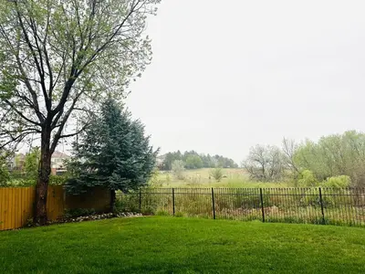 a fence in front of a yard with a tree at Entire Private Garden-Level Retreat in Englewood