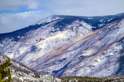 a mountain covered in snow with trees on it at Lula in Grand Lake
