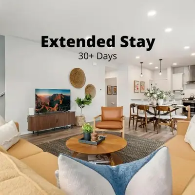 Mosaic Modern - Dog Friendly
