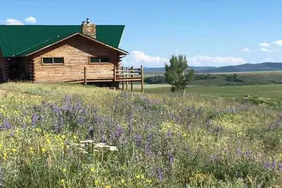 a house on a hill with a field of purple flowers at Cabin Rental for Large Groups Ideal for Colorado Glamping in Walden
