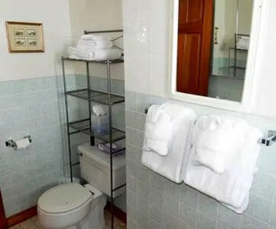 a bathroom with a toilet and a mirror and towels at Cabin Rental for Large Groups Ideal for Colorado Glamping in Walden