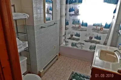a bathroom with a shower and a sink at Cabin Rental for Large Groups Ideal for Colorado Glamping in Walden