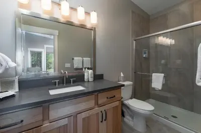 a bathroom with a toilet and a sink and a shower at 4BR Fraser Getaway Hot Tub Sleeps 10 in Fraser