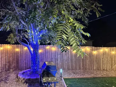 a blue tree in front of a fence with lights at The Denver Duo Two Homes, One Epic Stay in Denver