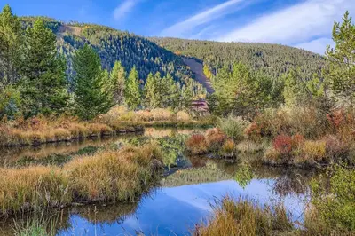 a river in the middle of a forest at Frostfire B19 condo in Snake River Health Services Incorporated Heliport