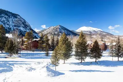 a group of trees in the snow with mountains at Mountainside Retreat - Sleeps 4 in Frisco