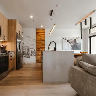 Luxury modern