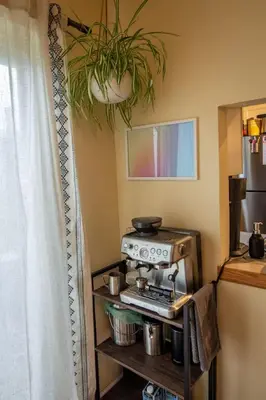 a kitchen with a stove and a potted plant at Dog Friendly Oasis Private Hot Tub with Sauna in Boulder